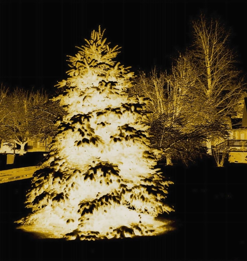 negative-christmas-tree-smaller