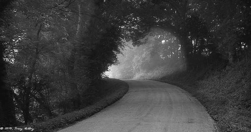CURVING ROAD WITH LIGHT B &amp; W